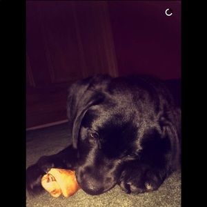 Meet your Posher, Kerri